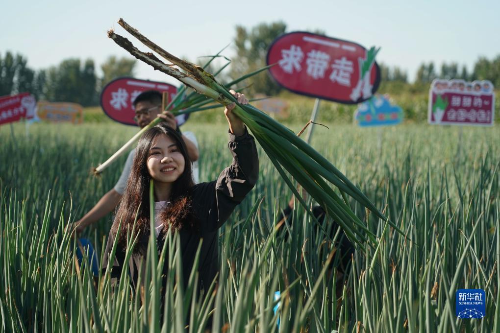澳门银座网页登录